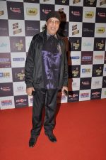 Bali Brahmabhatt at Radio Mirchi music awards red carpet in Mumbai on 7th Feb 2013 (101).JPG